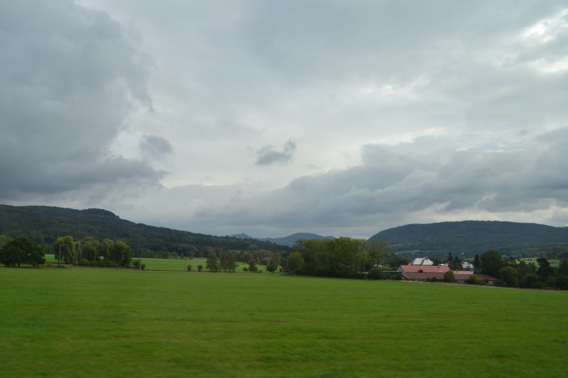 DSC_7366.jpg