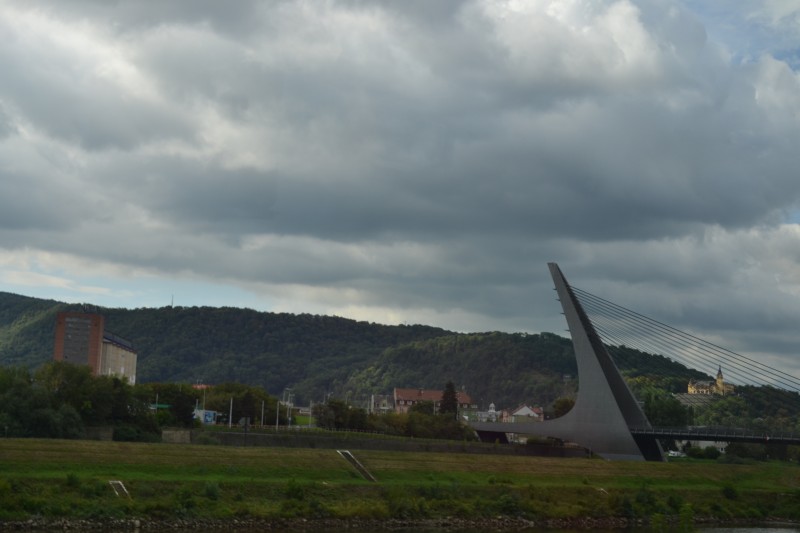 DSC_7370.jpg