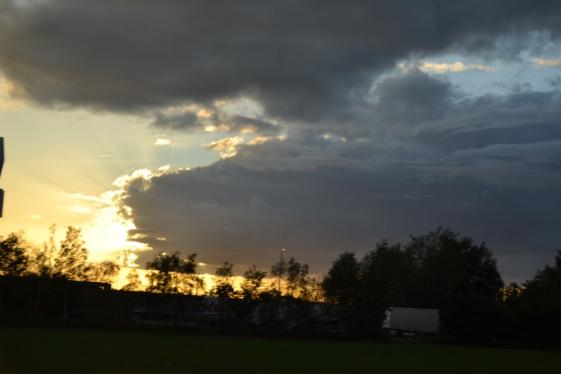 DSC_8668.jpg