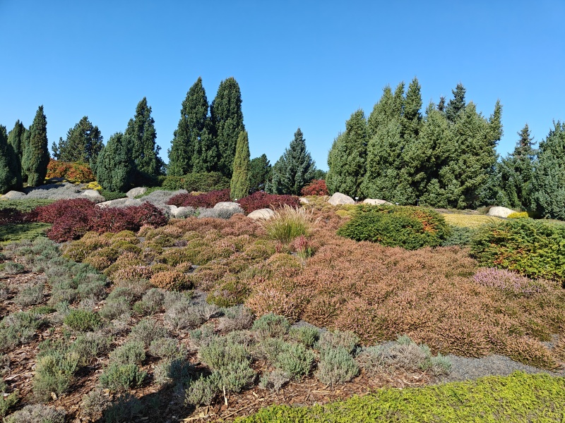 2025-09-27 11.04.40.jpg