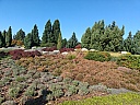 2025-09-27 11.04.40.jpg